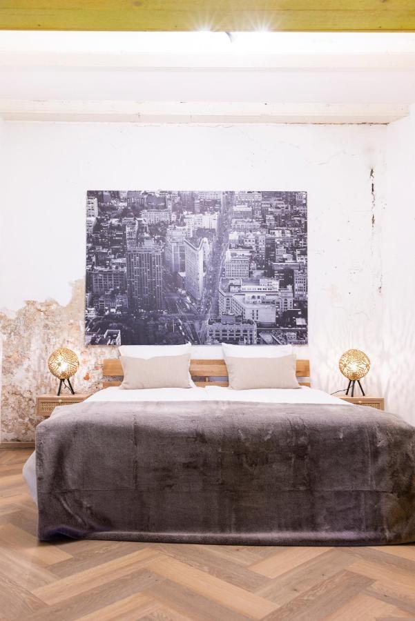Apartment Passage - Spacious In Quiet Historic Part Of Haarlem